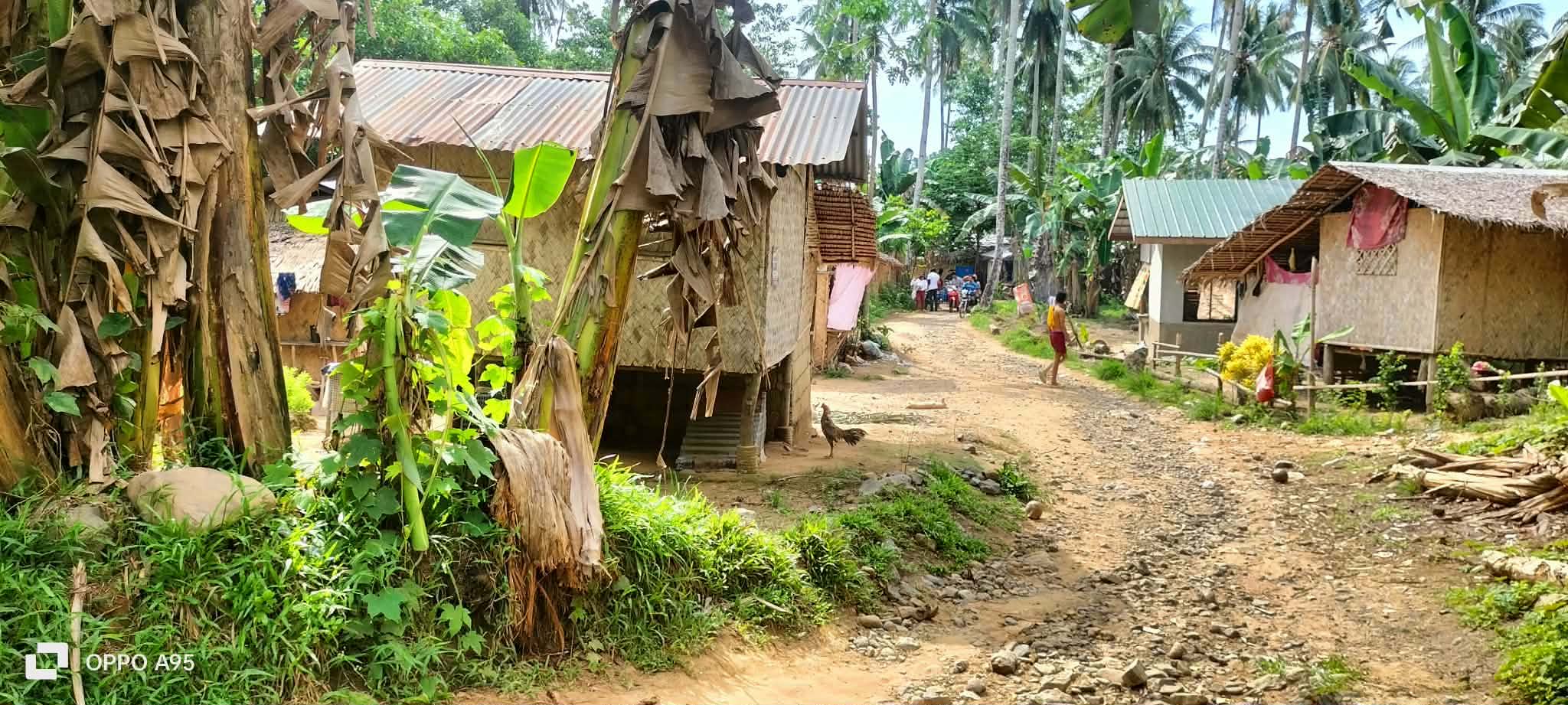 Traditional homes lining an uneven rural community road