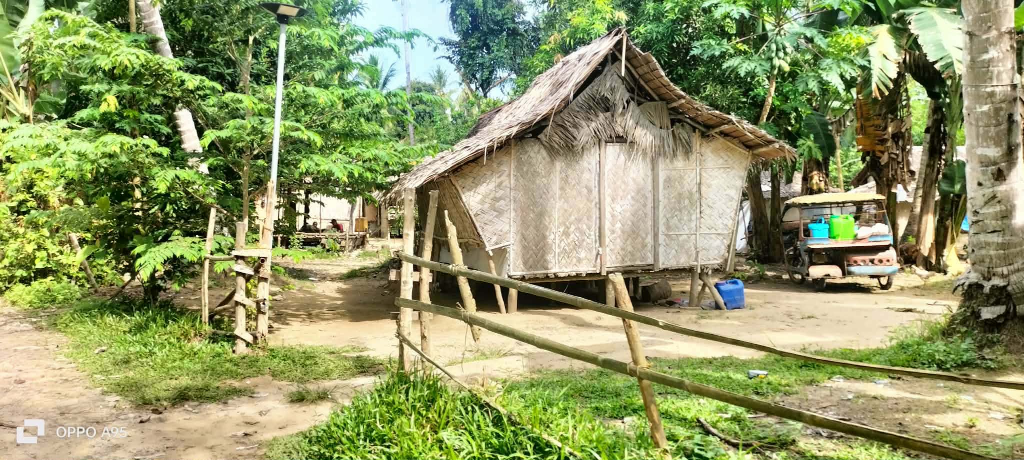 A traditional woven-wall home surrounded by tropical vegetation