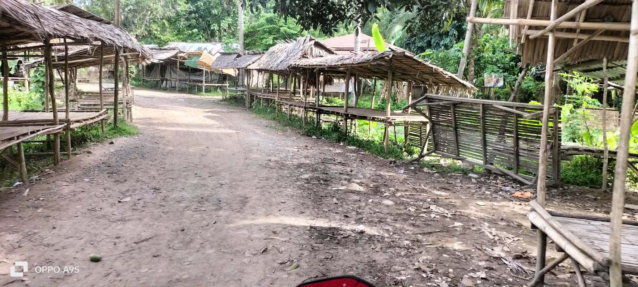 A quiet community lane lined with raised bamboo shelters